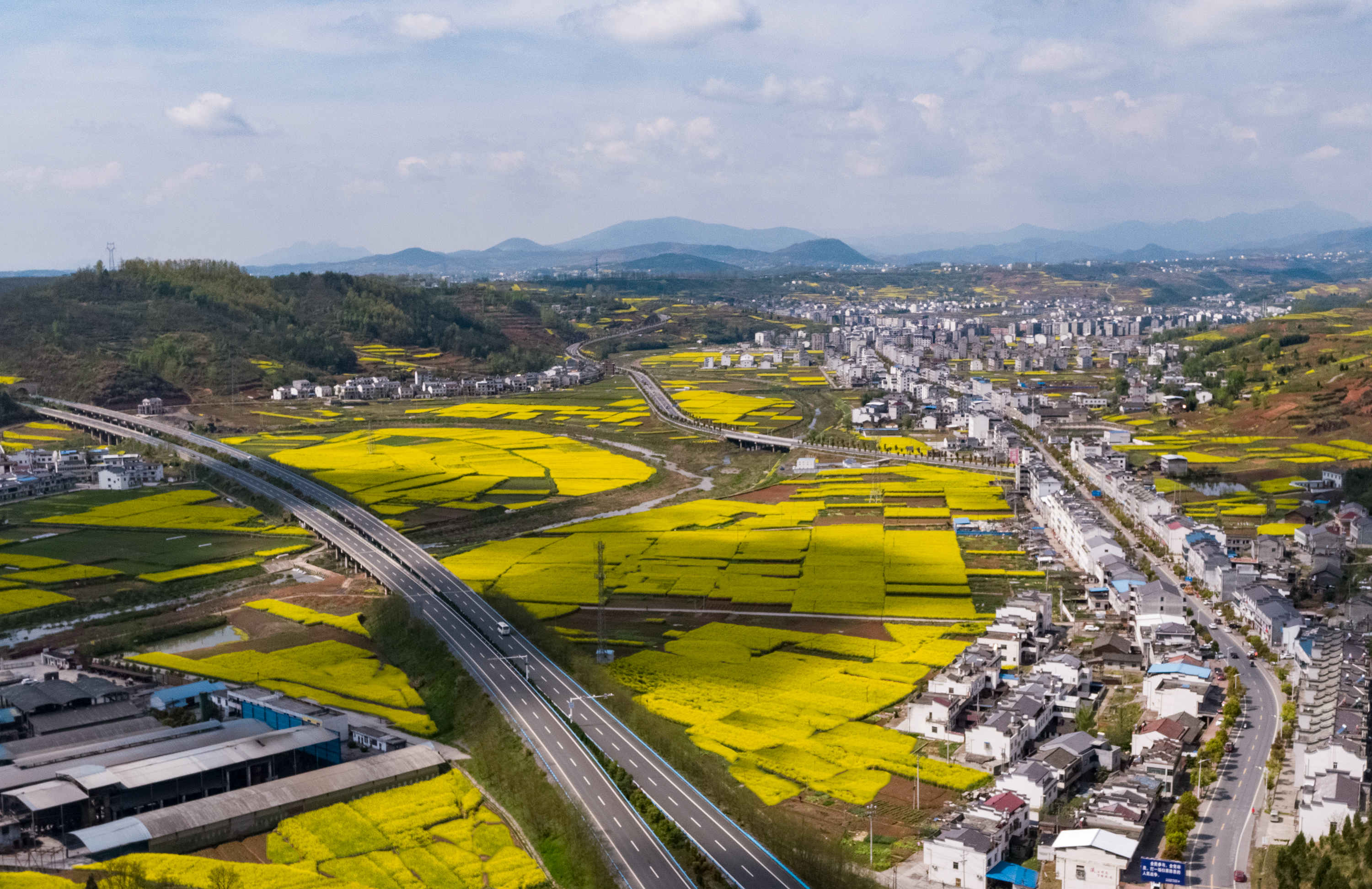 2019年4月4日,湖北省十堰市竹山县麻家渡镇营盘河村盛开的油菜花,与谷