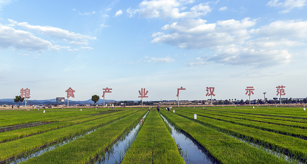 《新农村新气象》