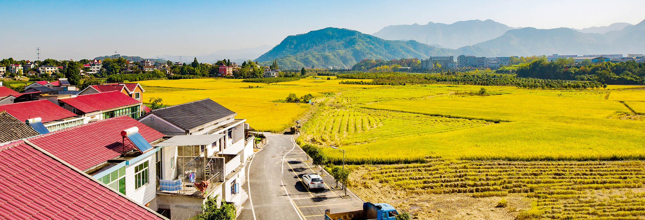 《今日新农村》摄于2018年10月27日杭州建德市寿昌镇桂花村.