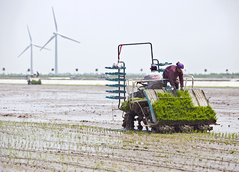机械化插秧-高帆杯"行走中国"全国摄影大展投稿区-大众摄影网 -