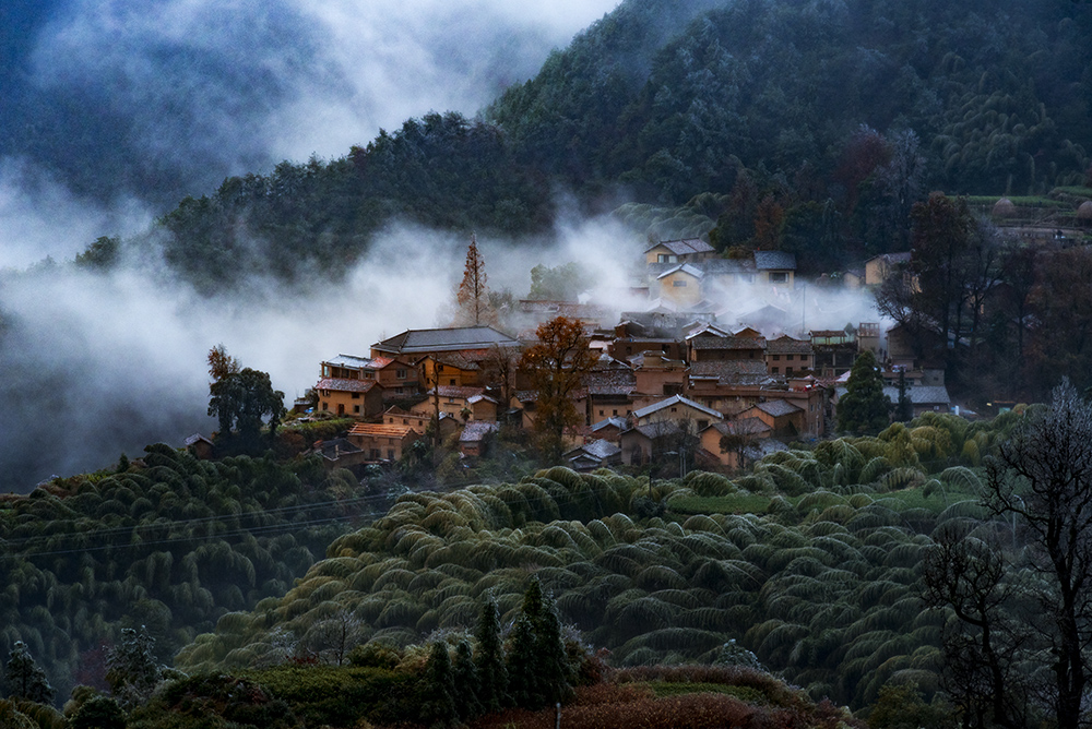 《西坑村冬晨曲》松阳西坑村 2018年12月8日 一场冰冻天气妆点了古村