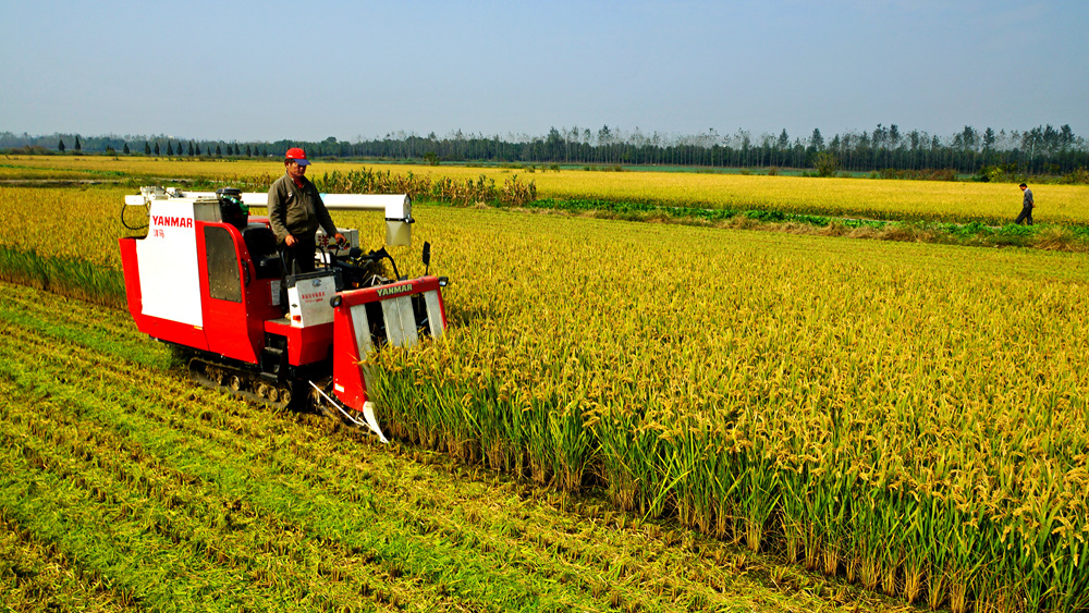 农耕变迁(组照))