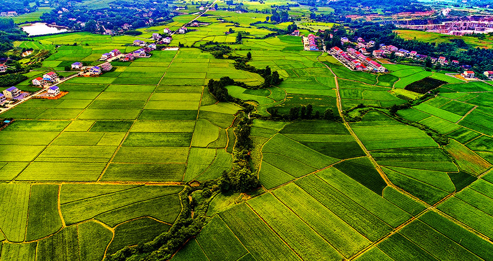 拍摄于临澧县修梅镇