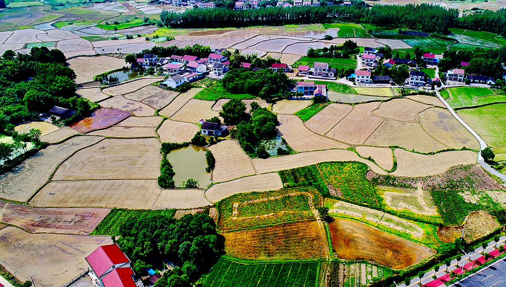 拍摄于鼎城区芦荻山乡