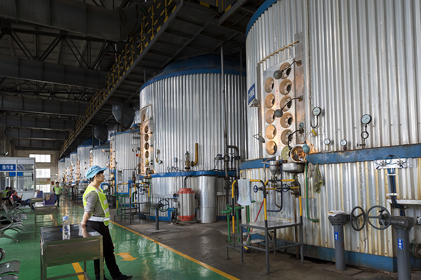 今日明阳糖厂(组图))