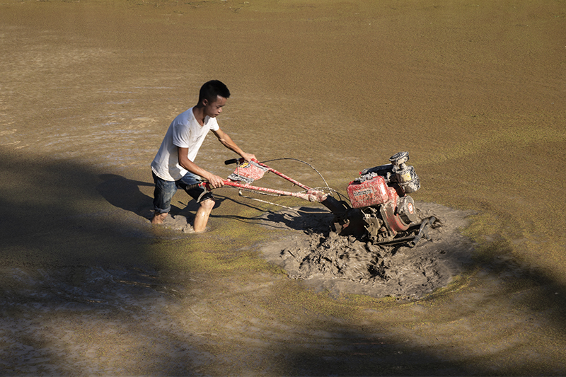 耕耘-高帆杯"行走中国"全国摄影大展投稿区-大众摄影网