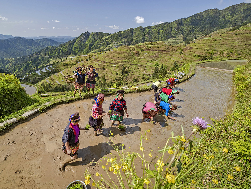 摄于贵州丹寨县排调镇锦鸡舞发源地麻鸟村