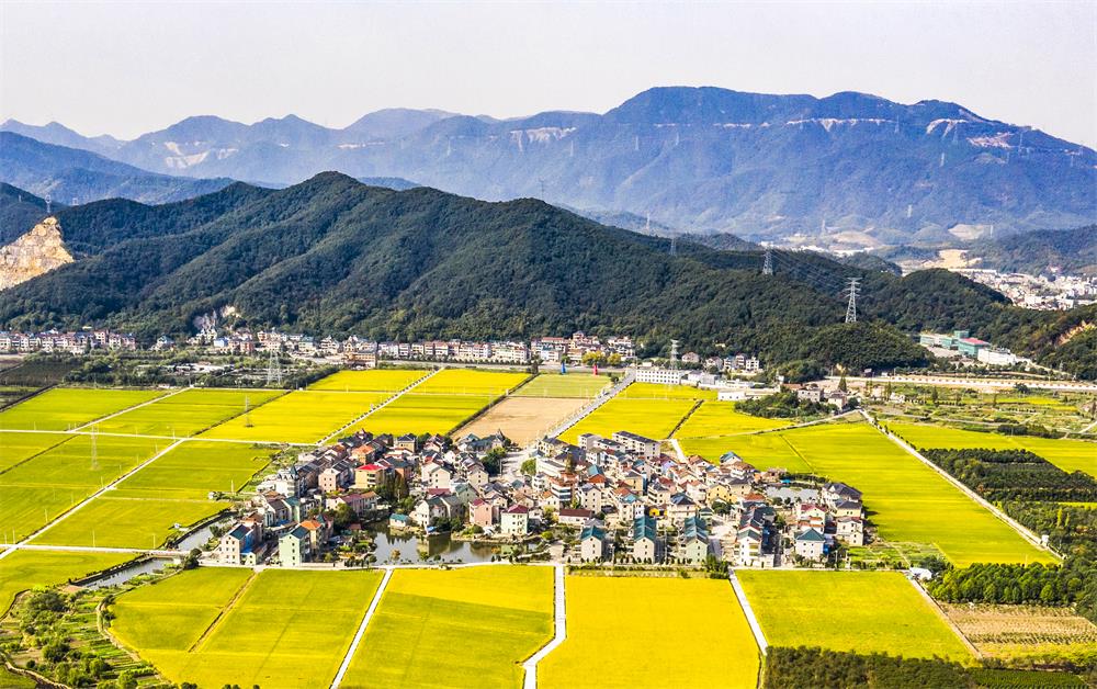 《山乡巨变》 作品拍摄于萧山区进化镇 ,为了比较全面表现山乡的变化