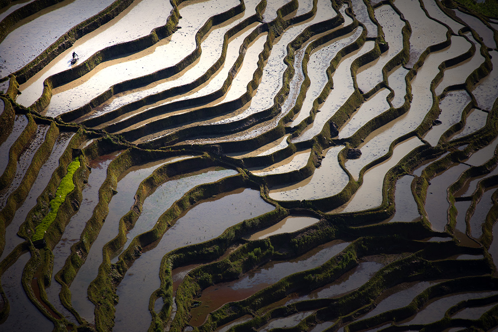《层层叠叠梯田韵》
