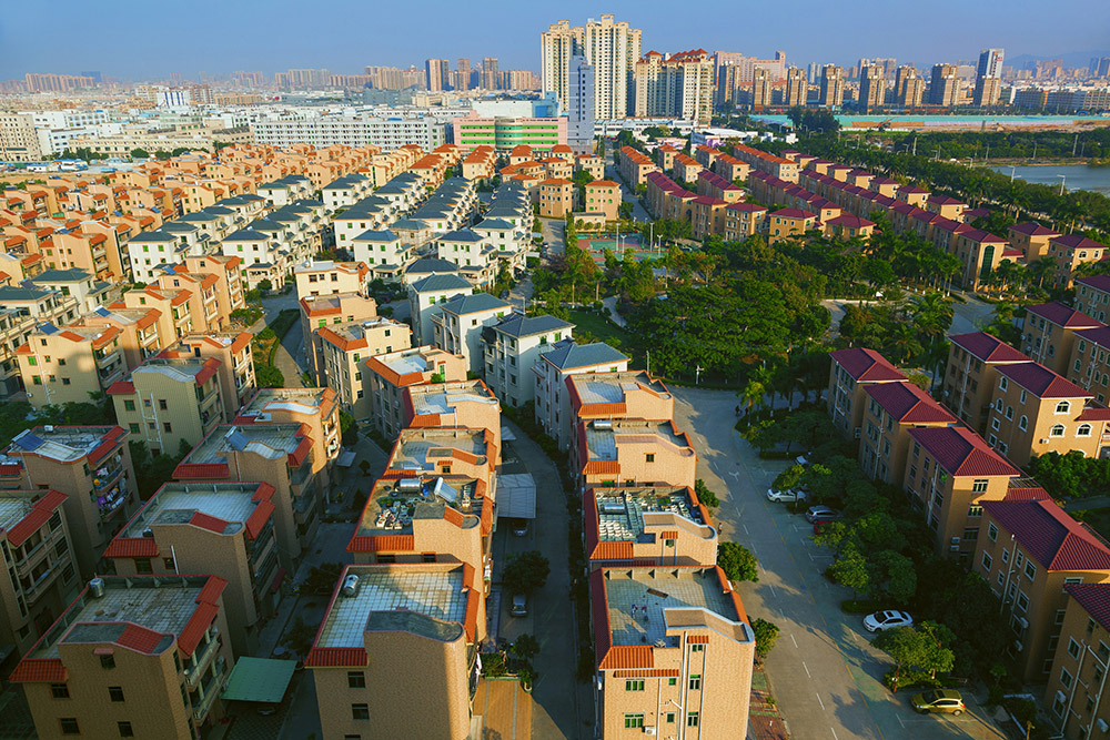 2014年12月16日摄于深圳宝安区沙井镇民主新村.