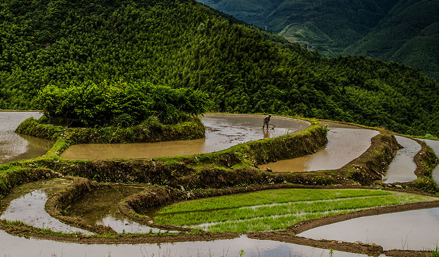 《人勤春早》农民抢抓农时,忙春耕春播的图景构成了一幅恬静温婉的
