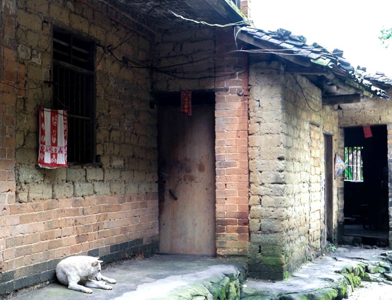 喜迁新居(组图)