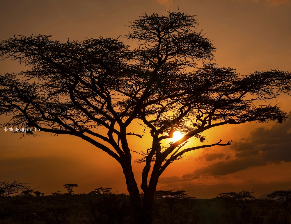肯尼亚——非洲草原上的落日