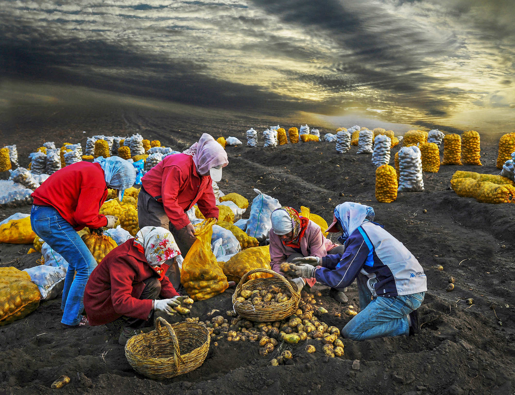 收获-《大众摄影》俱乐部团体会员——宁波新空间影像社区俱乐部(1星)