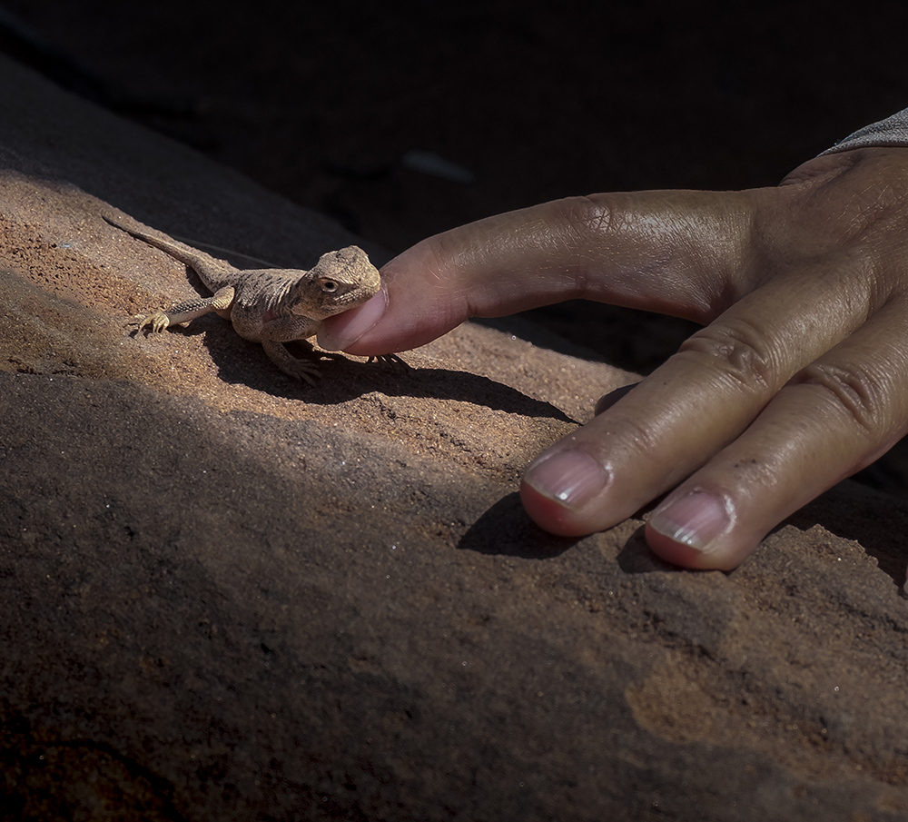 自然生态人文系列《爱……》