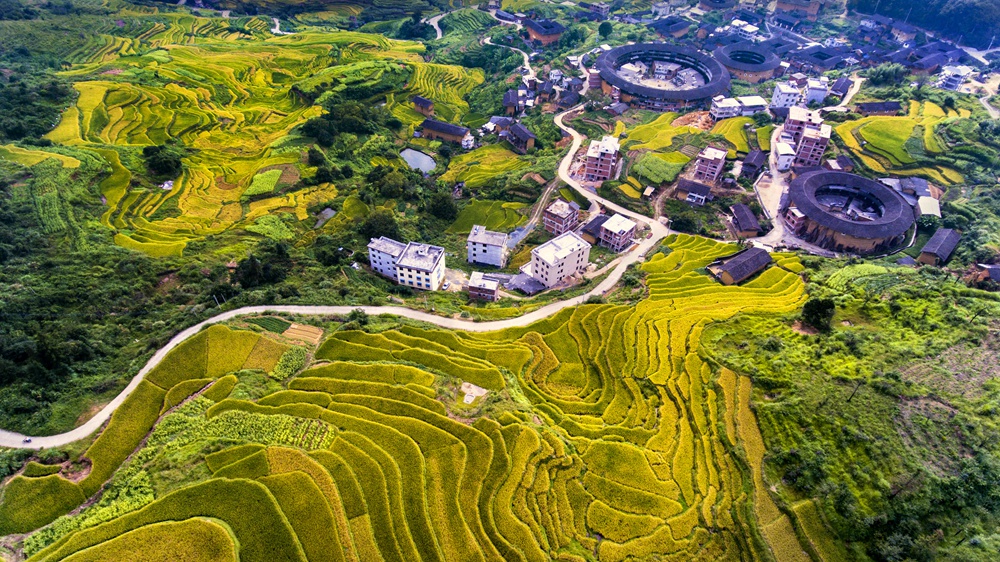 乡村秋色 黄幼霞 摄于福建龙岩永定县陈东岩太.jpg