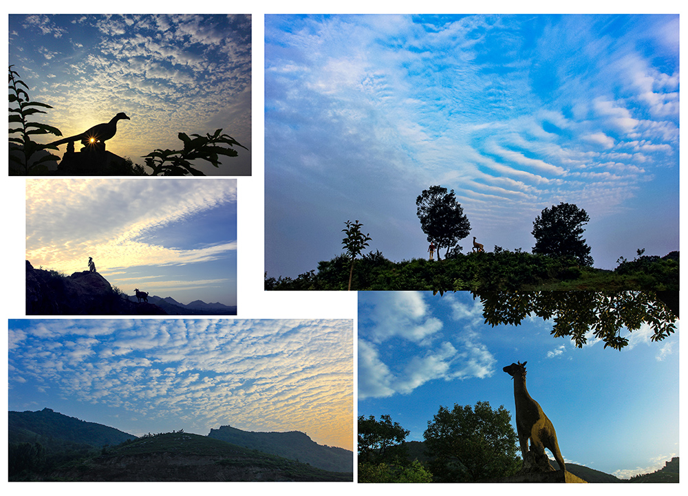 组照:鹿鸣山晨光