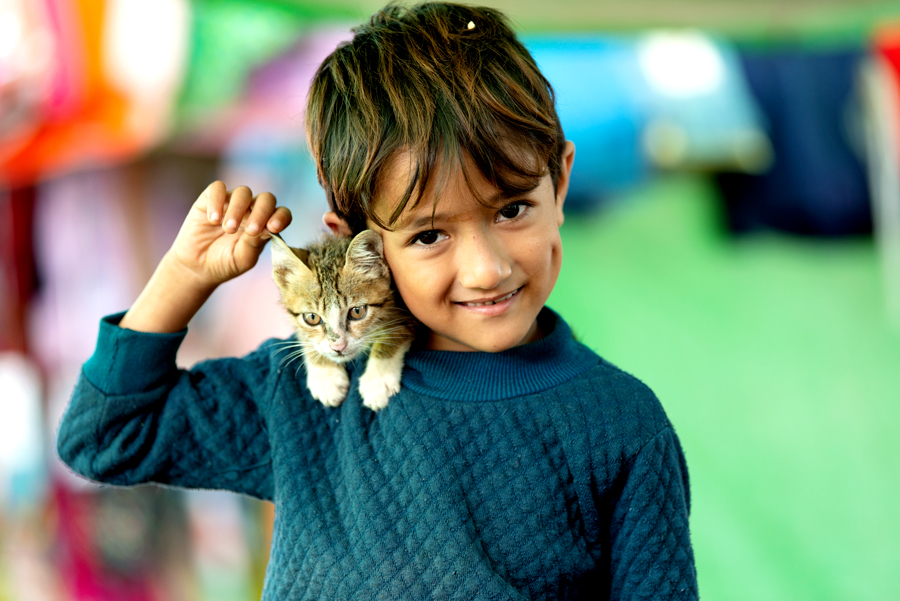 孩子和猫 2019.1拍摄于缅甸
