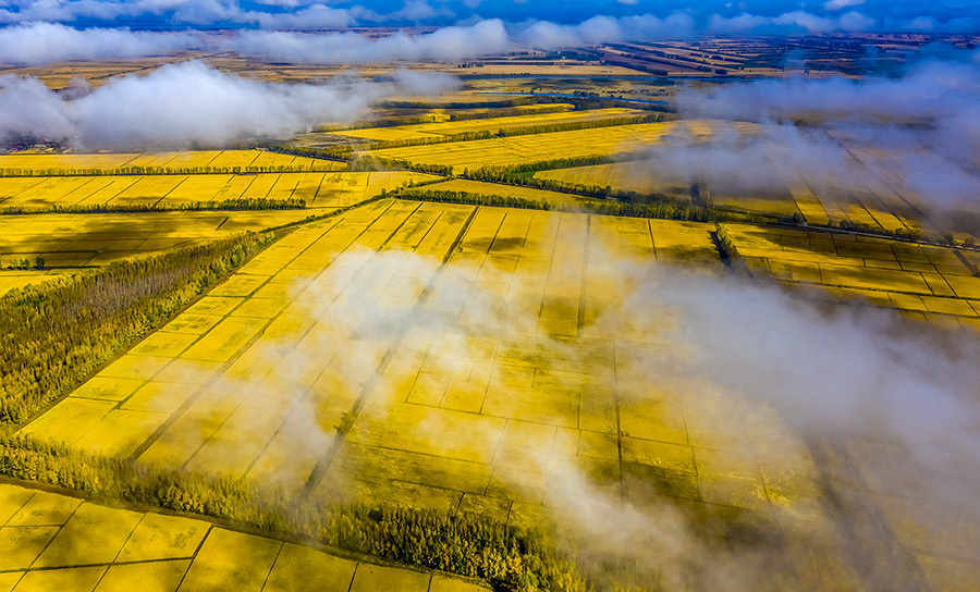自然之光征稿区 69 秋天的田野 20180928 拍于东北,白云下面一片