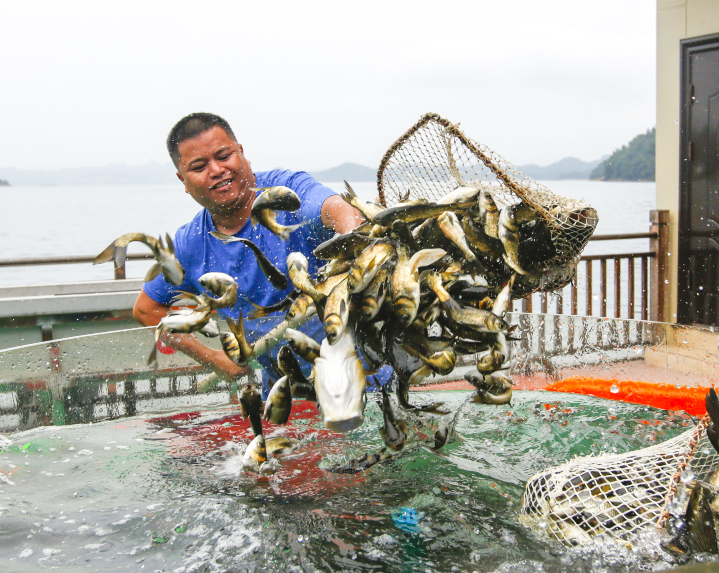 放鱼-"我遇见最美的光"——第四届全国医务人员摄