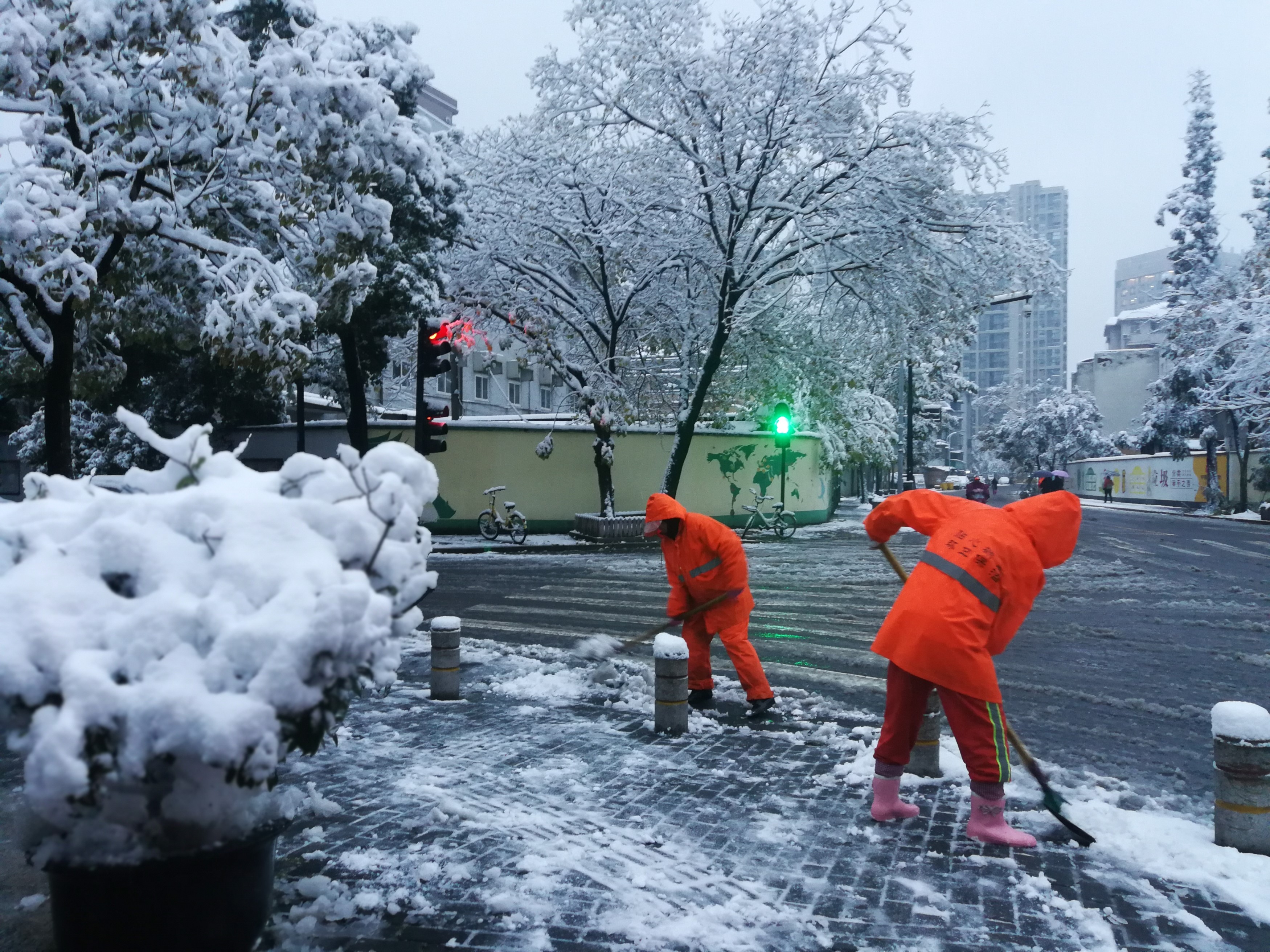 《雪后最美身影》