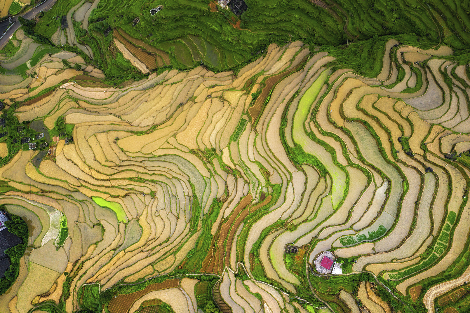 政府实行科学种田,土壤改良的政策,既给农民增加收入,又美化田园环境