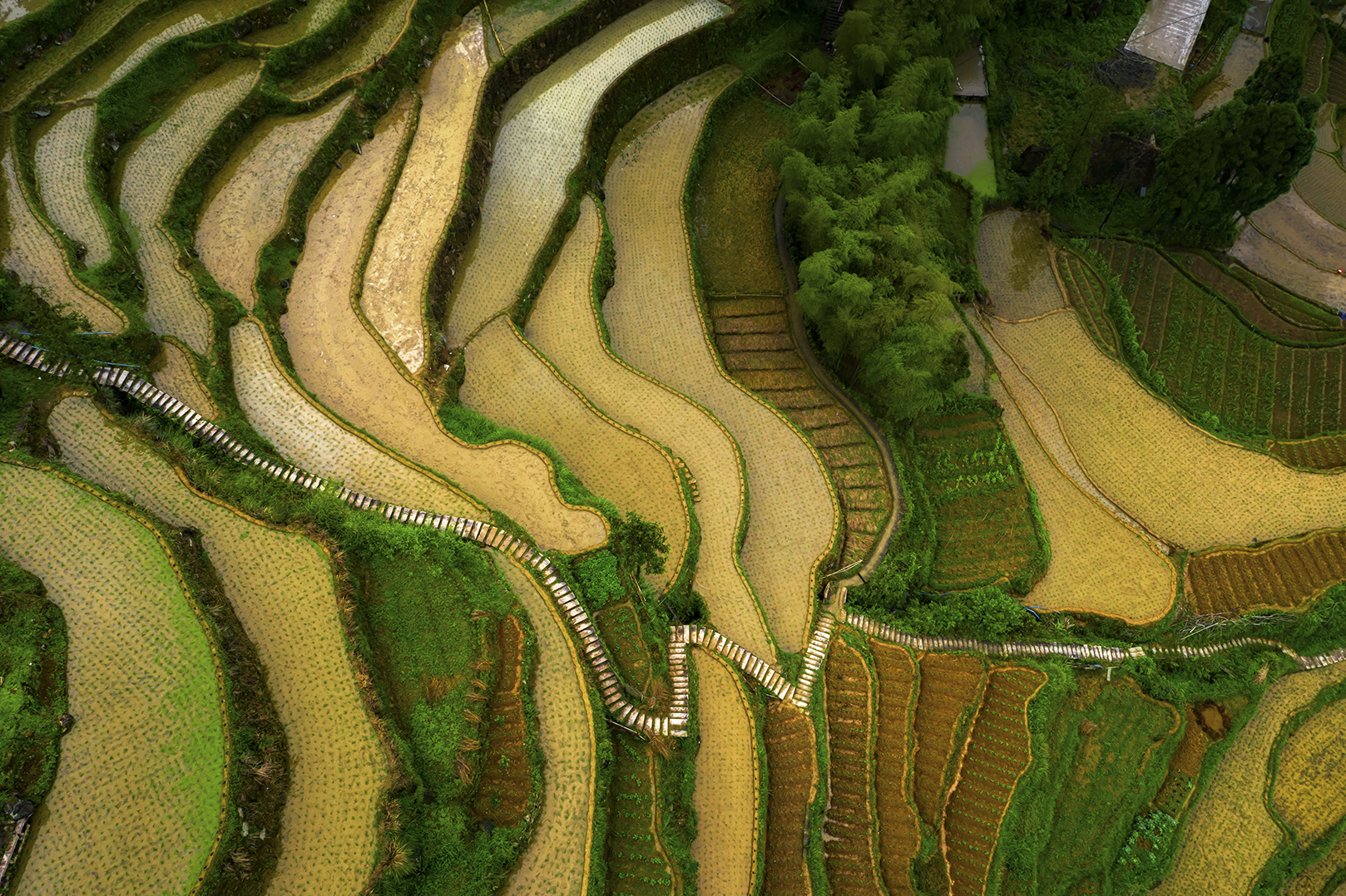政府实行科学种田,土壤改良的政策,既给农民增加收入,又美化田园环境