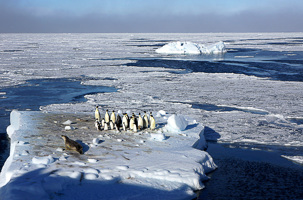 《南极罗斯海风情》
