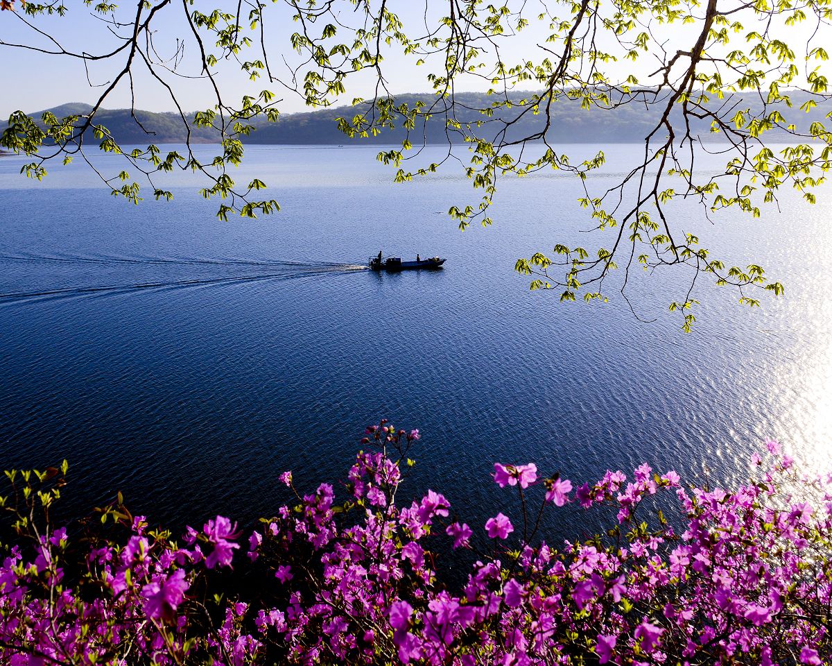 春光明媚-"我遇见最美的光"——第四届全国医务人员摄影大展 自然之光