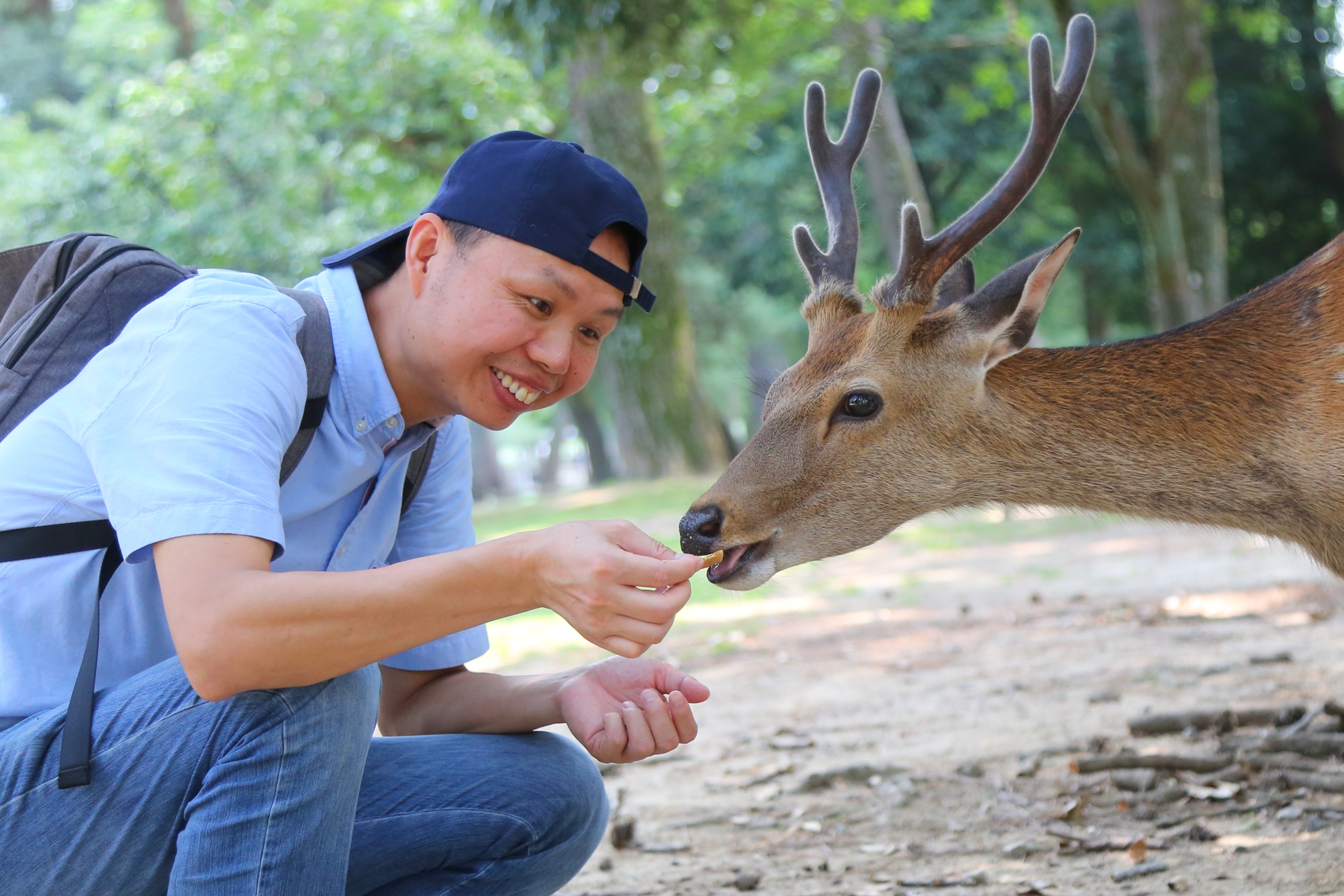 人与动物和谐共处