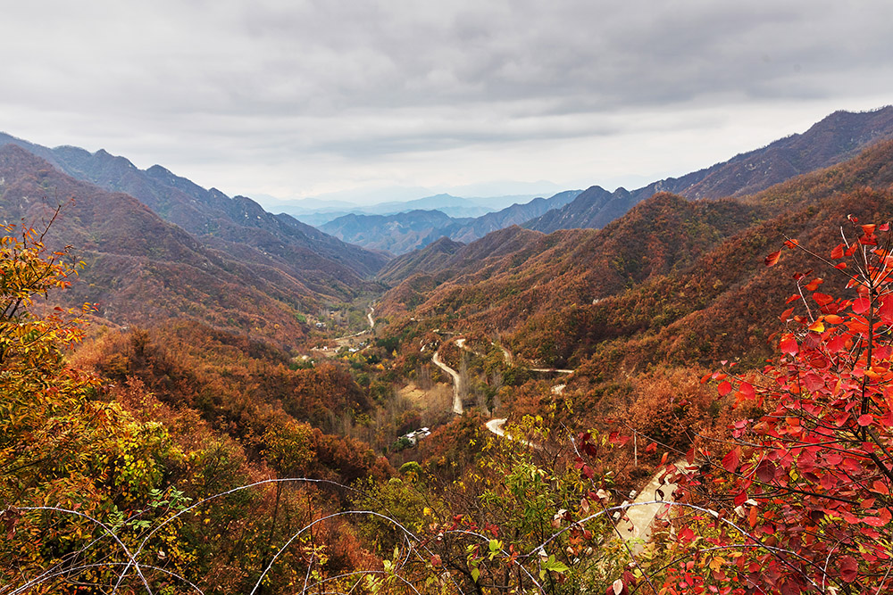 11.6拍摄于南召县马市坪乡南平村,秋天的色彩染红了大山.