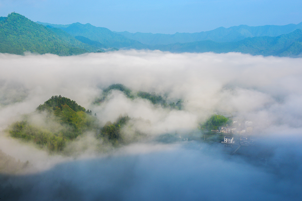 白云生处有人家