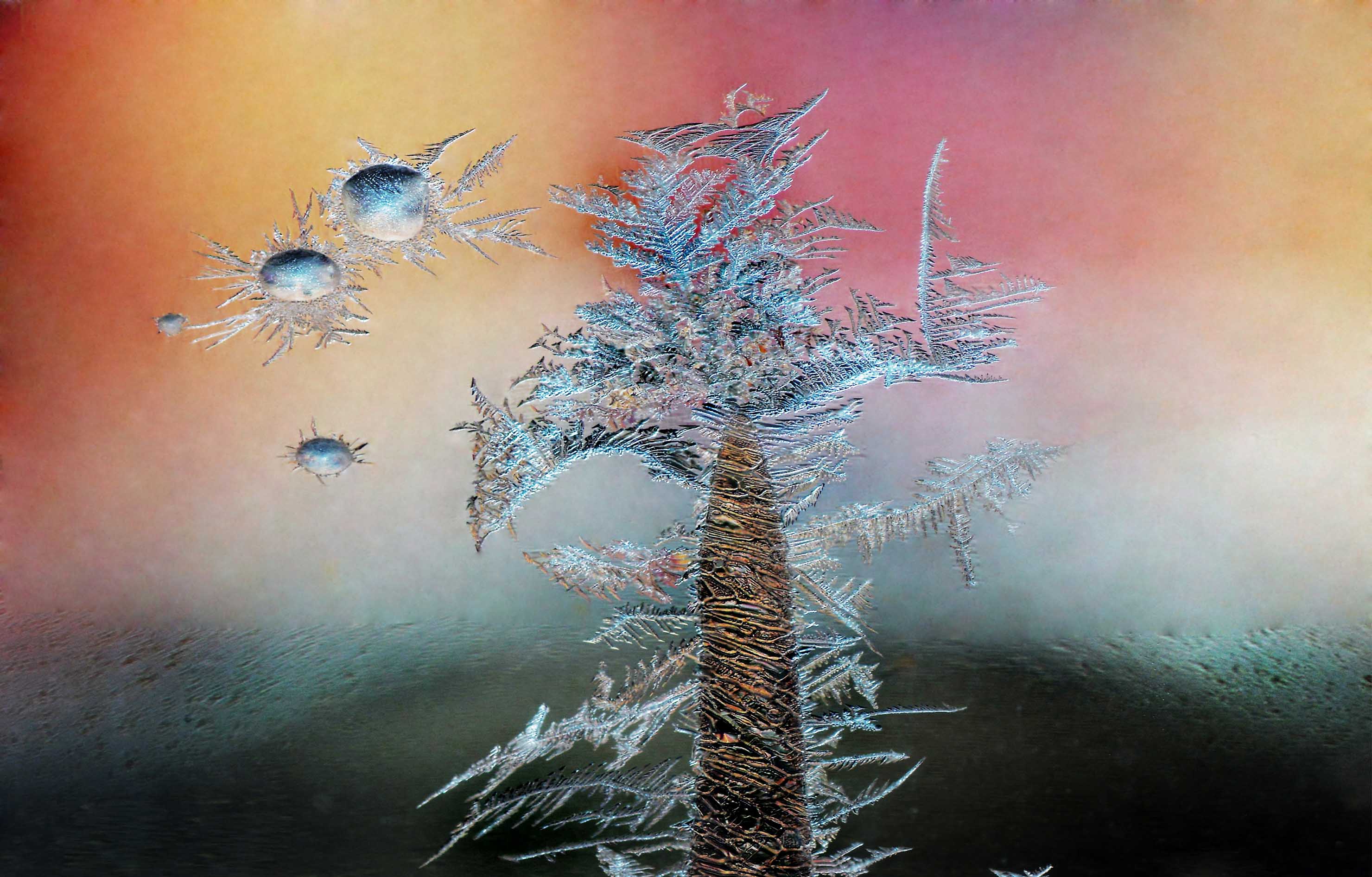 冰窗花是中国东北地区特有的艺术摄影,其在室外零下20度于室内20度的