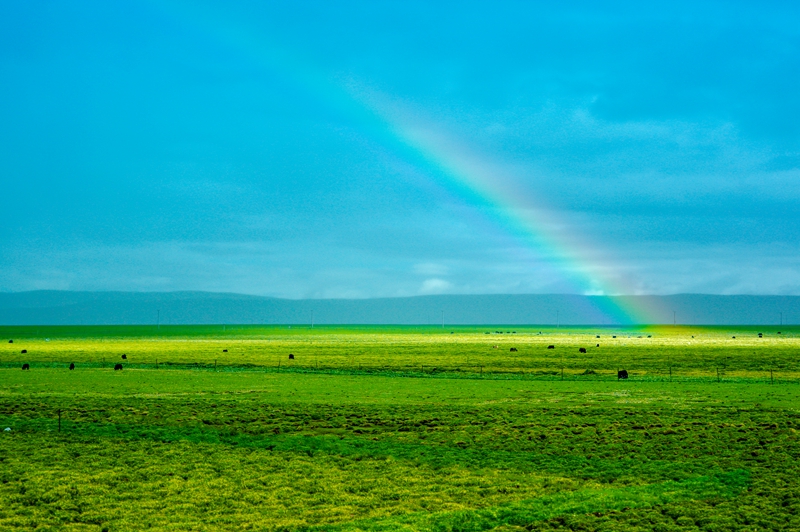 草原上的彩虹