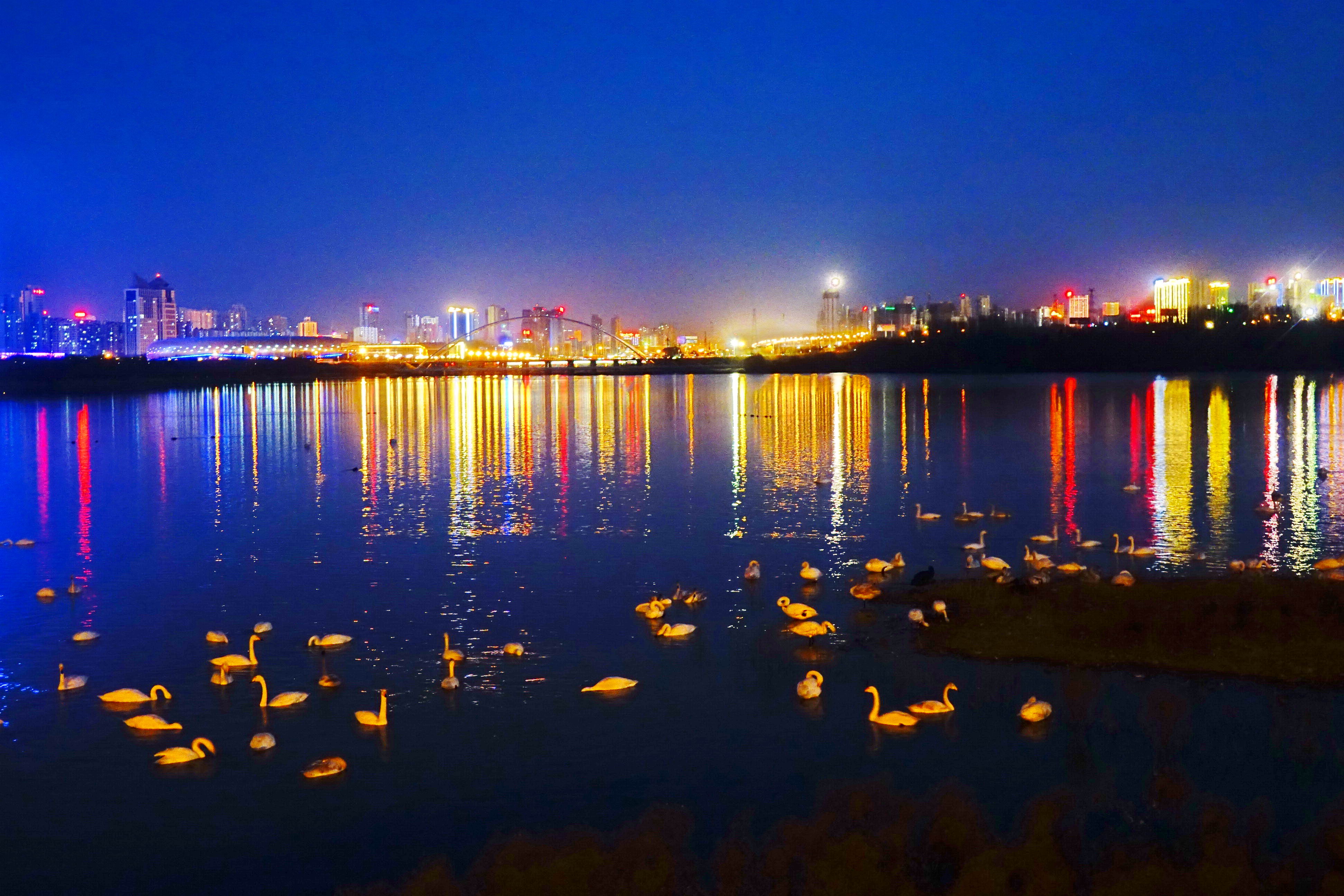 夜色天鹅湖-第三届天鹅之城—中国三门峡自然生态国际摄影大展征稿区