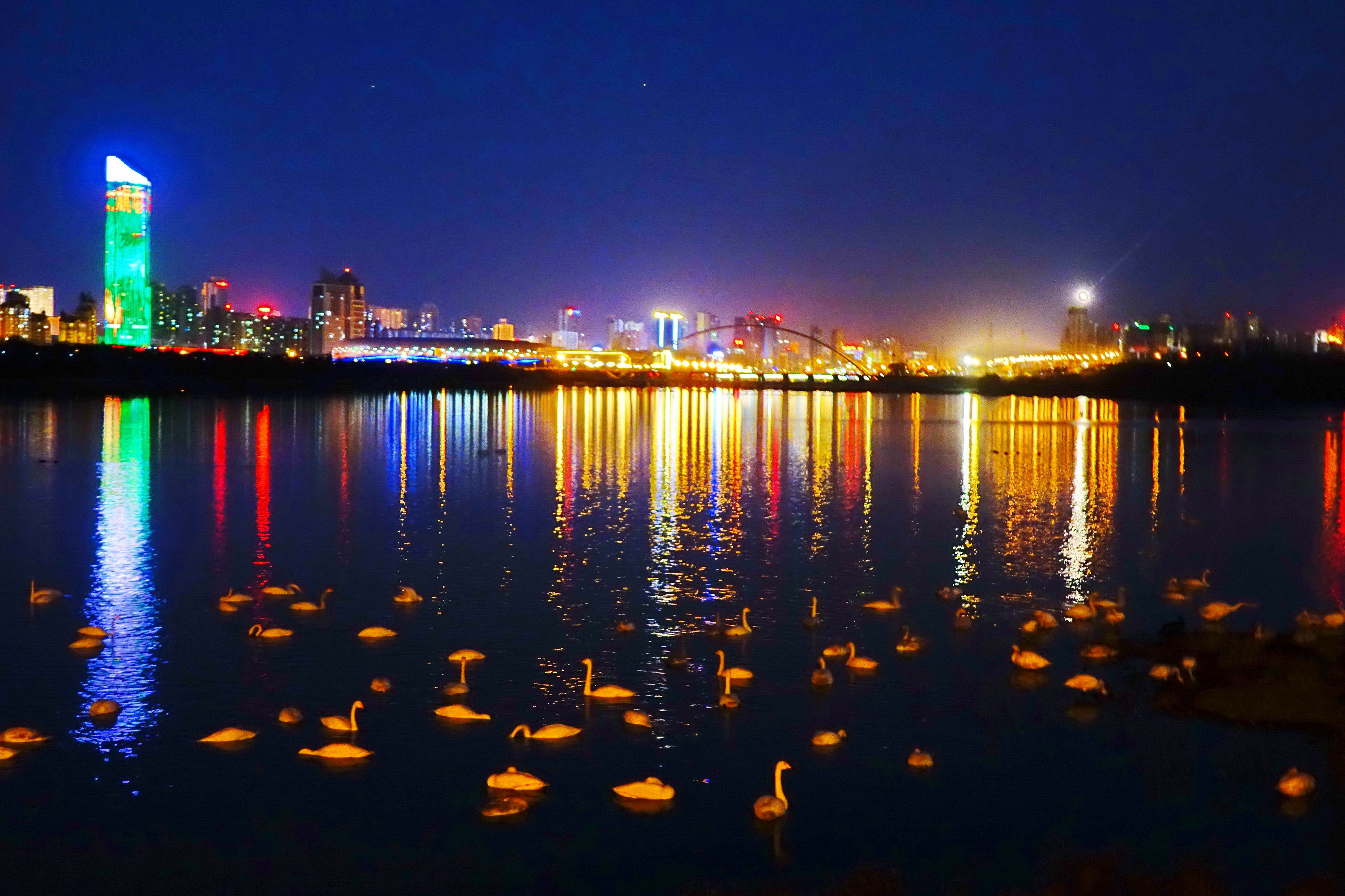 夜色天鹅湖-第三届天鹅之城—中国三门峡自然生态国际摄影大展征稿区