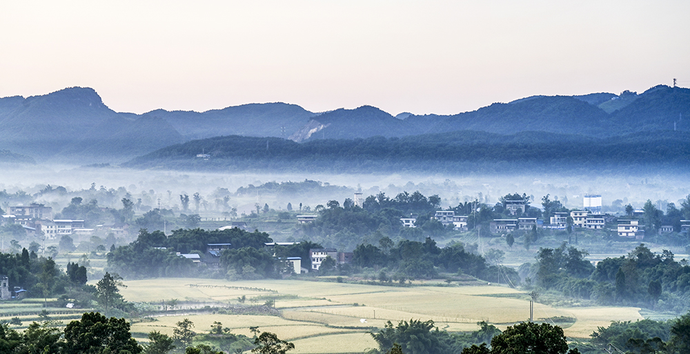 摄于重庆市合川区草街街道办事处