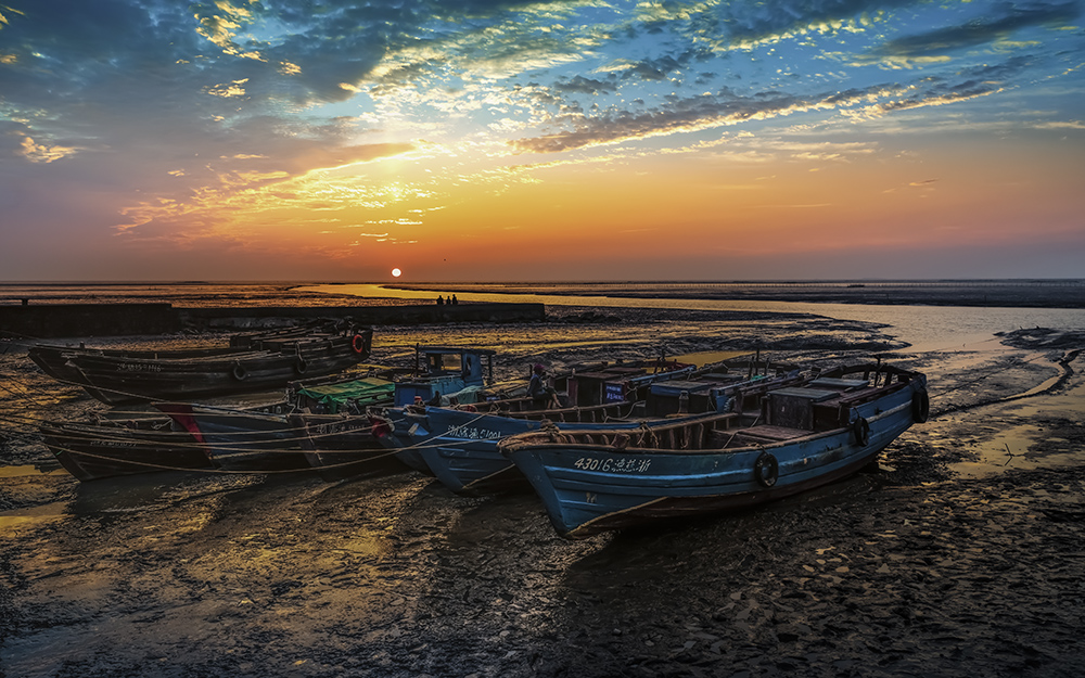 2019年7月28日拍摄于杭州湾海塘