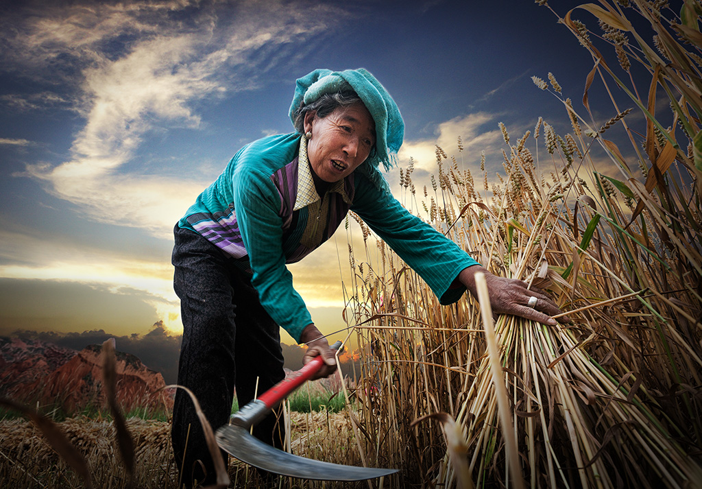 中国第二届扶贫公益摄影大展投稿