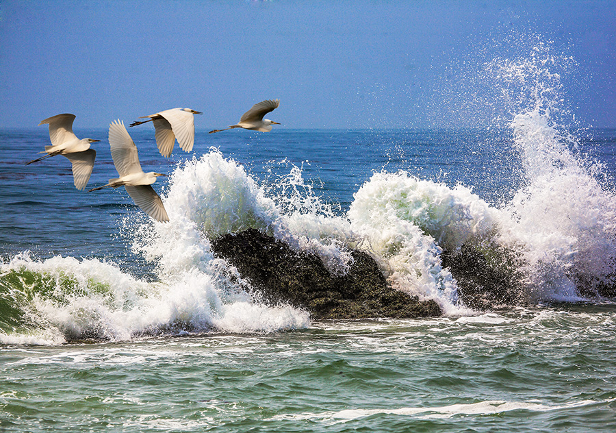 风生水起北部湾
