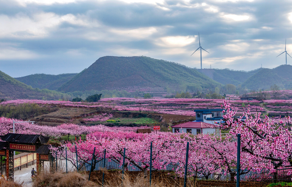 《美好家园》 2018年3月30日摄于南召县云阳镇唐庄村
