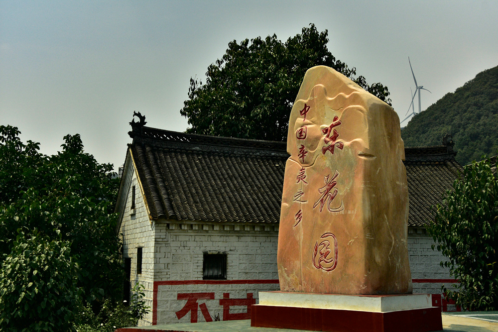 中国辛夷之乡——东花园村