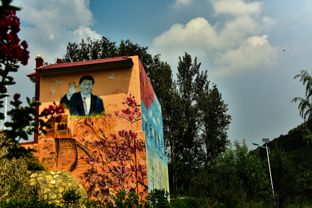 中国辛夷之乡——东花园村