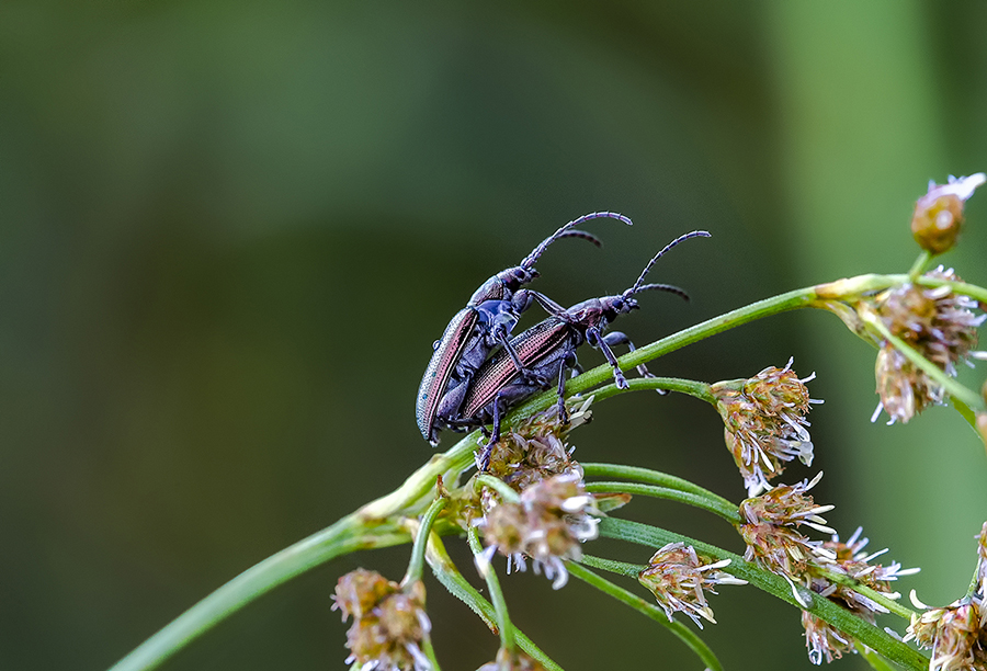 生命的延续组照3
