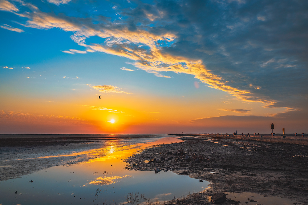 东营海边朝霞满天