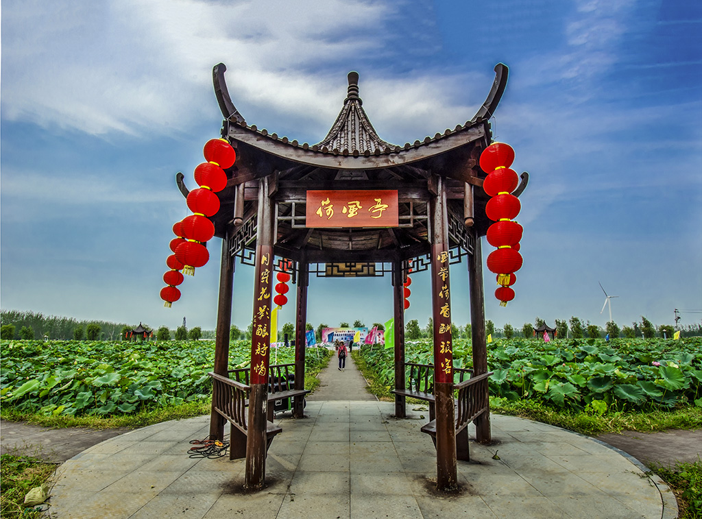 《万荷园中荷风亭》