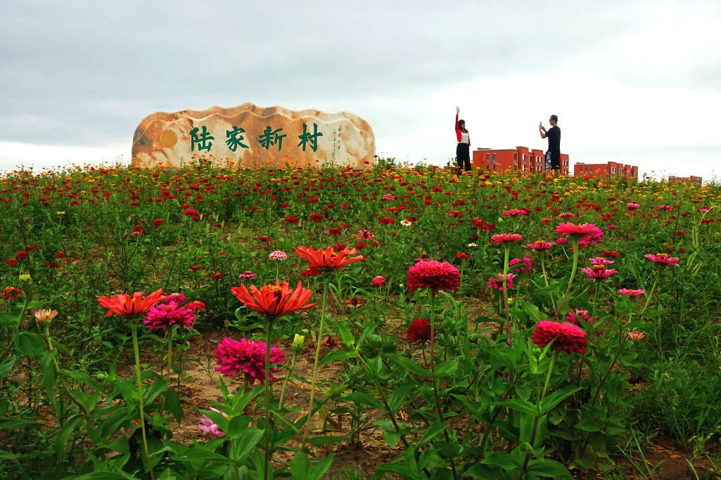 陆家村的"蝶变"