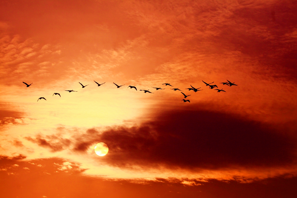 作品标题: 彩云归 拍摄时间:2012.02.