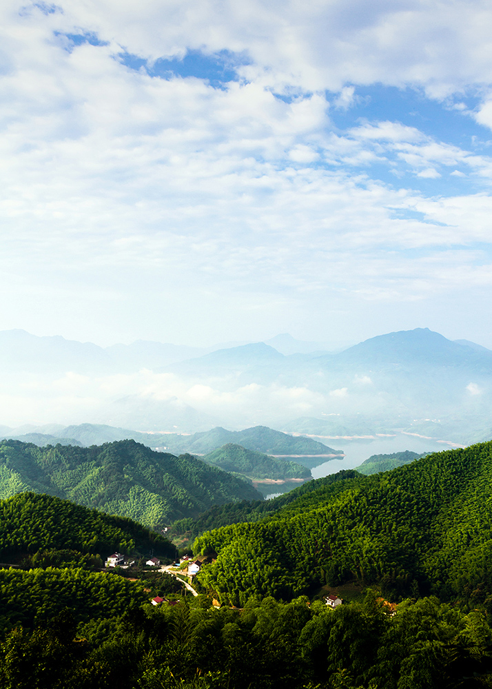 再见老区大别山