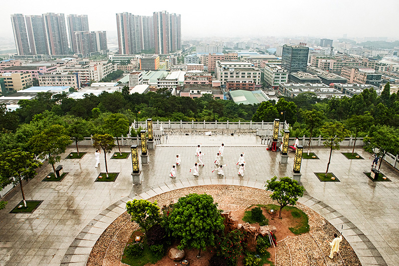 2017年5月20日摄于增城区新塘镇四望江公园